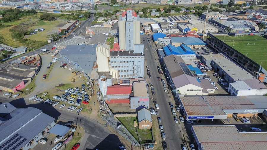 Commercial Property for Sale in Arcadia Eastern Cape